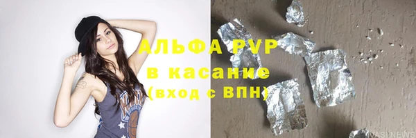 ПСИЛОЦИБИНОВЫЕ ГРИБЫ Богданович
