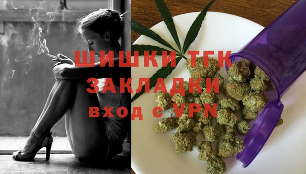 гашик Богородицк