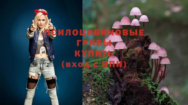 ПСИЛОЦИБИНОВЫЕ ГРИБЫ Богданович