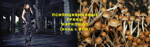 амф Богородск