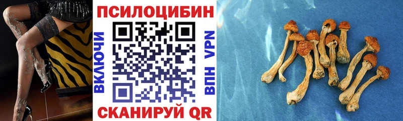 Галлюциногенные грибы Magic Shrooms купить сайты дарк нет Telegram Клинцы