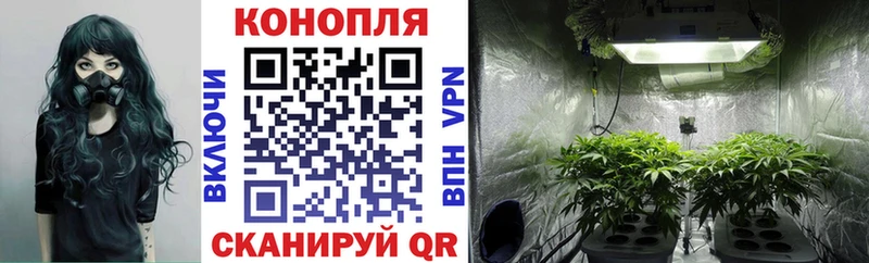 Марихуана OG Kush Клинцы